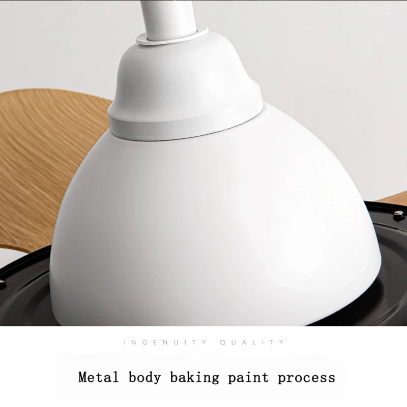 IFF Modern Ceiling Fan with 35W LED light support Remote Control Strong winds Electric fans for Living Room DC motor 110-240V