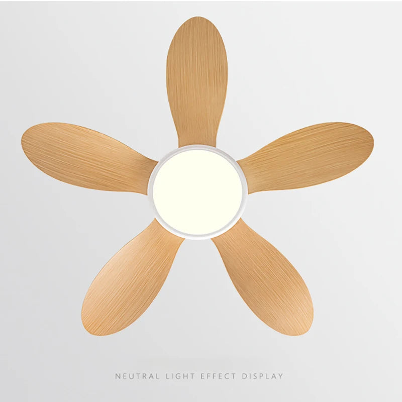 IFF Modern Ceiling Fan with 35W LED light support Remote Control Strong winds Electric fans for Living Room DC motor 110-240V