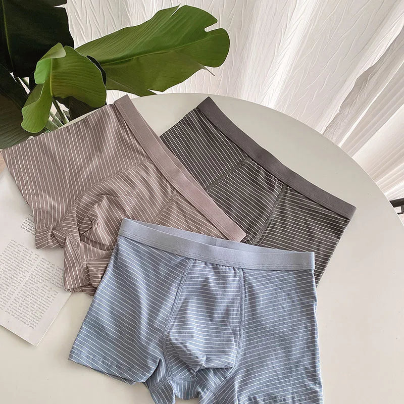3pcs Large Size Fat Man Boxers Cotton Under Shorts Men 6XL 7XL 8XL 9XL Oversize Panties Comfortable Loose Boxer Briefs for 150KG
