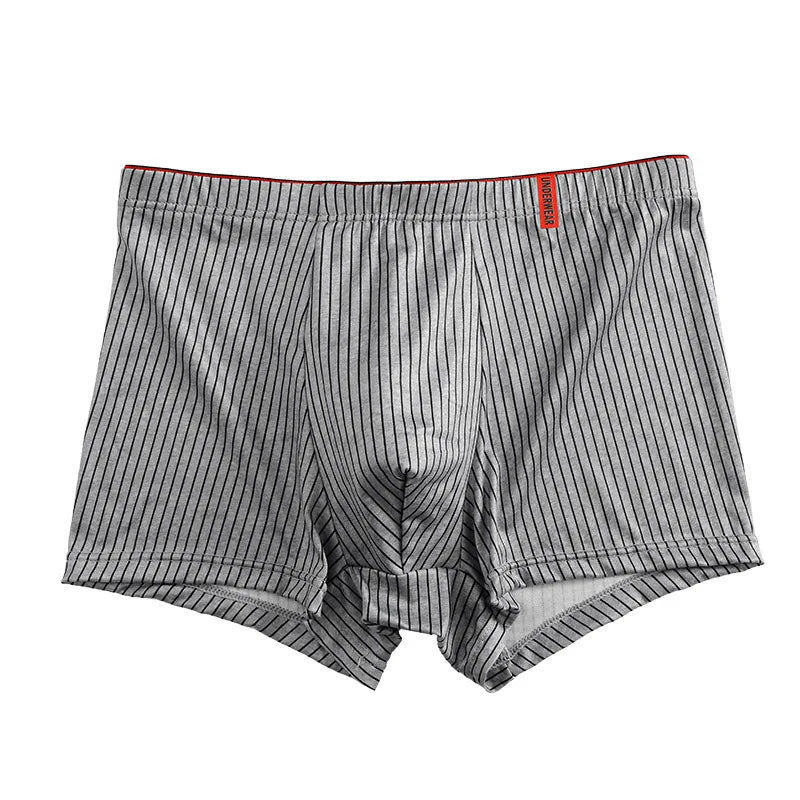 Men's Underwear Fashion Men Boxers Sexy Oft Breathable Underwear Male Comfort Panties L-4XL Underpants Striped Boys Underwear